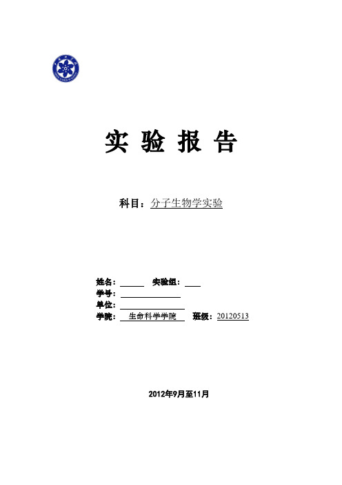 分子生物学实验报告