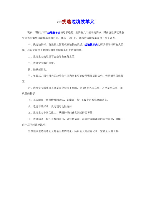 挑选边境牧羊犬要注意哪些问题