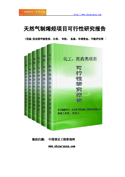 天然气制烯烃项目可行性研究报告范文格式(专业经典案例)