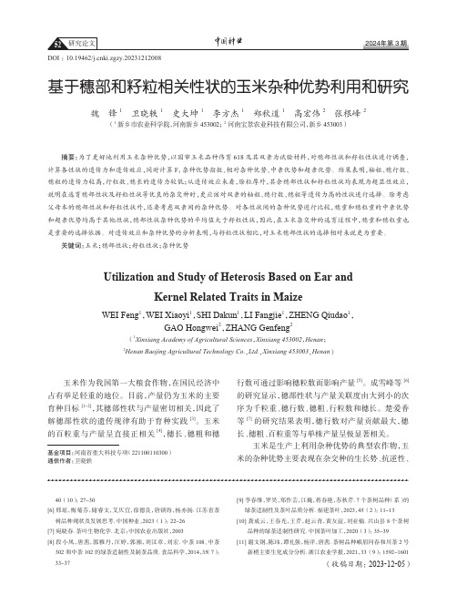 基于穗部和籽粒相关性状的玉米杂种优势利用和研究