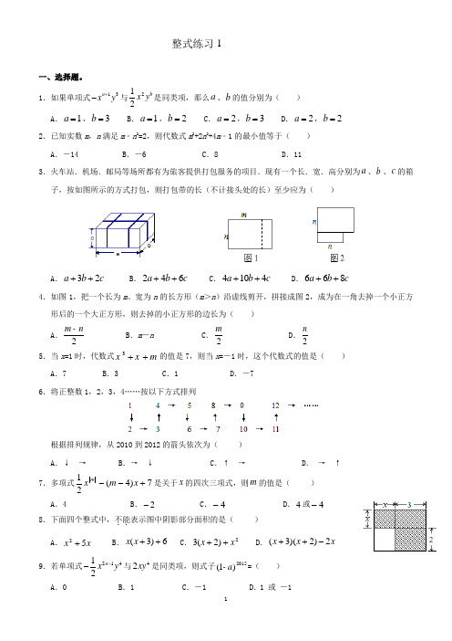 第八周周测试卷  整式1