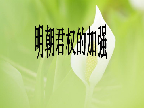 明朝君权的加强PPT教学课件