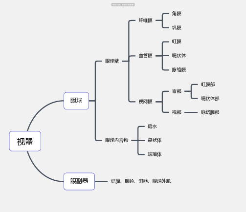 医学-人体感受器视器结构思维导图_简单清晰脑图分享-知犀