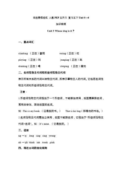 【五升六】 五下英语复习Unit 5--6(梳理+基础卷+提高卷)(含答案)人教pep