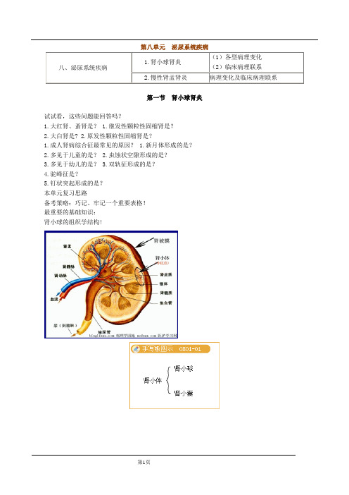 病理学实验：泌尿系统疾病