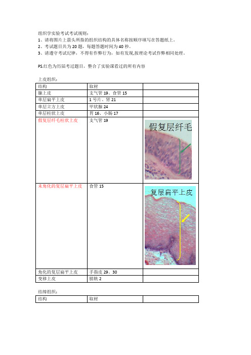 组胚实验考试-整理