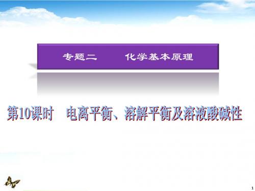 湖南省2013年高考化学二轮复习 电离平衡 溶解平衡及溶液酸碱性课件 新人教版