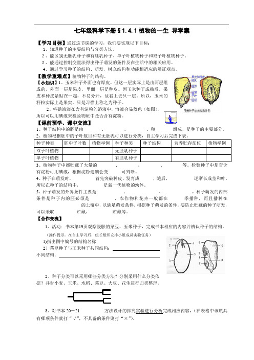 2020—2021学年浙教版七年级科学下册§1.4.1植物的一生-导学案