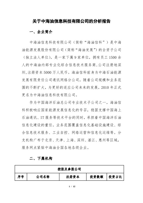 关于中海油信息科技有限公司的分析报告