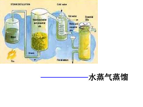 水蒸气蒸馏 橙皮中柠檬烯的提取