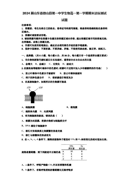 2024届山东省微山县第一中学生物高一第一学期期末达标测试试题含解析