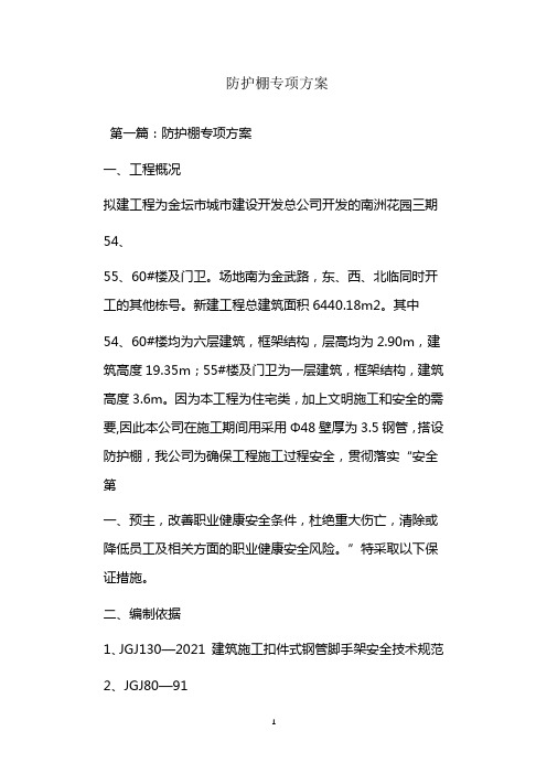  防护棚专项方案