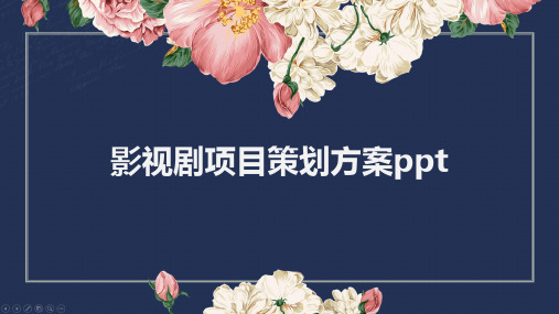 影视剧项目策划方案ppt