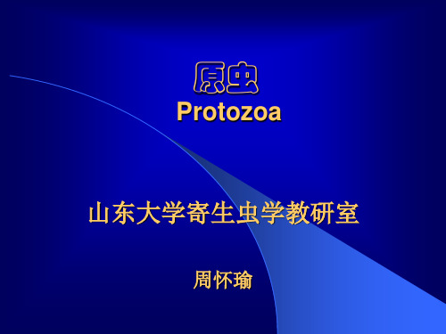 医学原虫概论和溶组织内阿米巴溶组织内阿米巴Entam