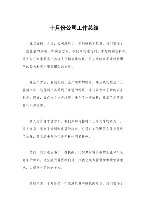 十月份公司工作总结