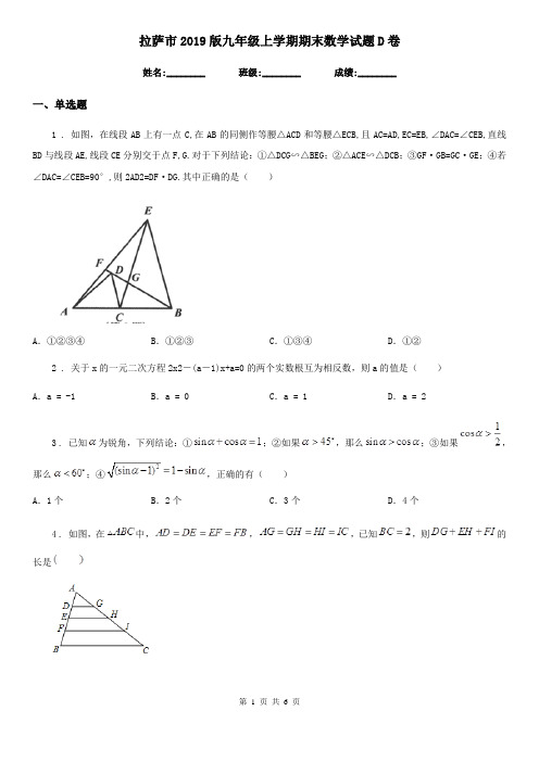 拉萨市2019版九年级上学期期末数学试题D卷