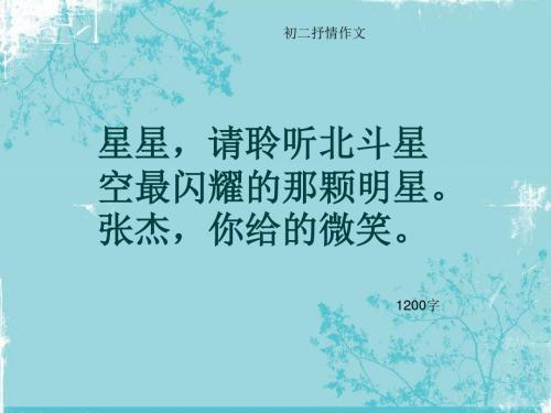 初二抒情作文《星星,请聆听北斗星空最闪耀的那颗明星。张杰,你给的微笑。》1200字(总16页PPT)