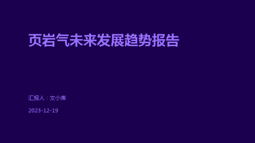 页岩气未来发展趋势报告