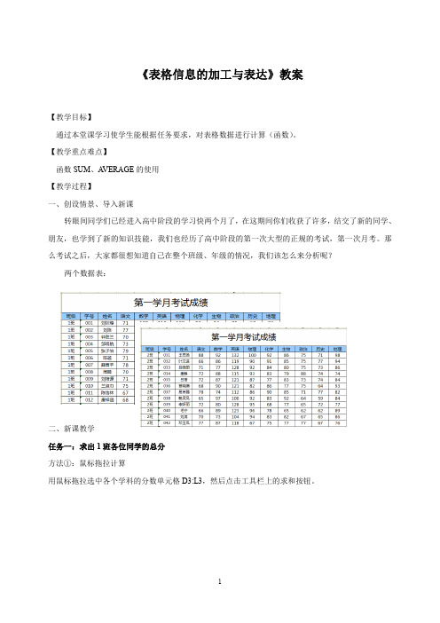 表格信息的加工与表达教案