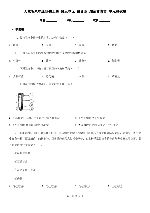 人教版八年级生物上册 第五单元 第四章 细菌和真菌 单元测试题