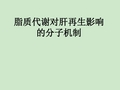 【终】脂质代谢对肝再生影响的分子机理