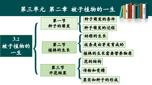 第二章被子植物的一生复习课件