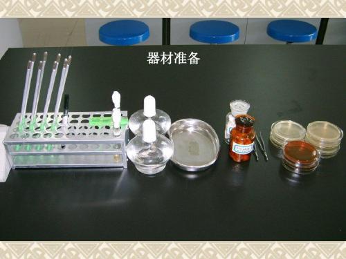 医学微生物学-实验-脓汁和粪便标本中病原菌的检测_6--2 PPT课件