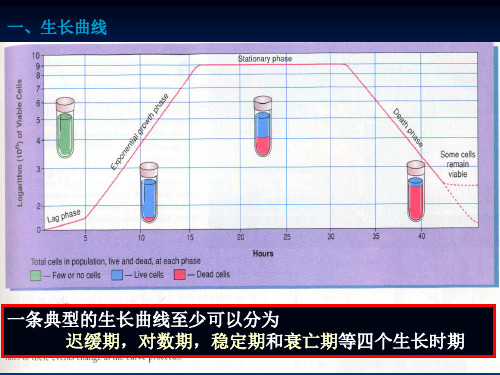 微生物的生长规律