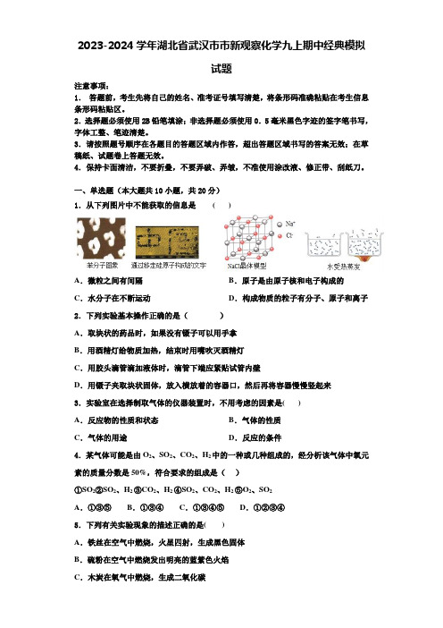 2023-2024学年湖北省武汉市市新观察化学九上期中经典模拟试题含解析