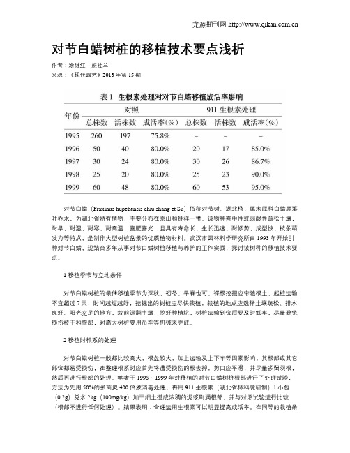 对节白蜡树桩的移植技术要点浅析