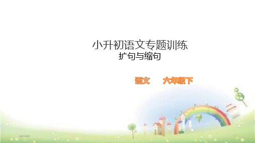 全国通用六年级下语文小升初语文总复习扩句与缩句专题训练     (共25张PPT)