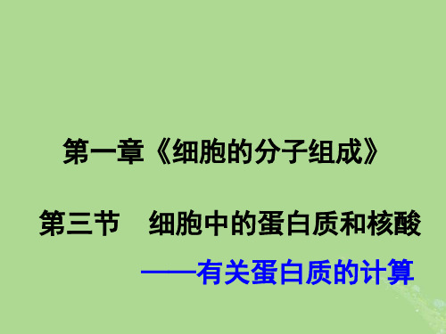 2024年同步备课高中生物1.3细胞中的蛋白质和核酸1课件苏教版必修1