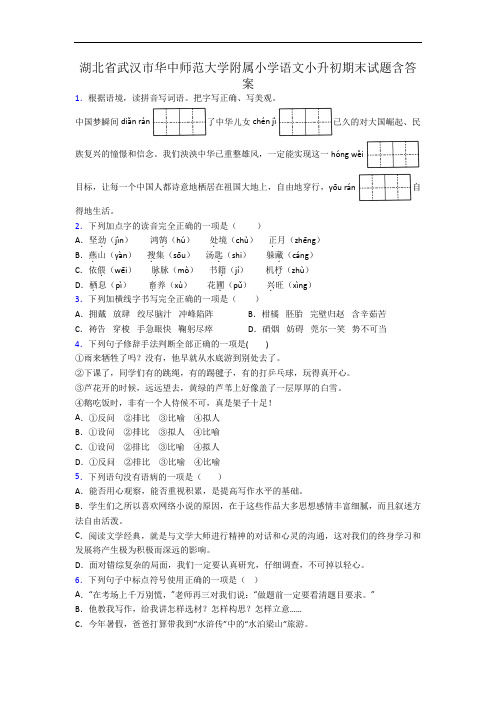 湖北省武汉市华中师范大学附属小学语文小升初期末试题含答案