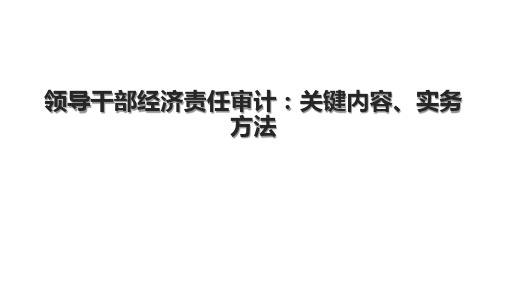 领导干部经济责任审计：关键内容、实务方法.pptx