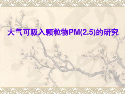 大气可吸入颗粒物PM(2.5)的研究(PPT)