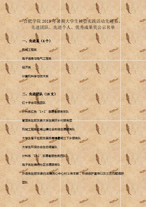 合肥学院2013年暑期大学生社会实践活动先进系、