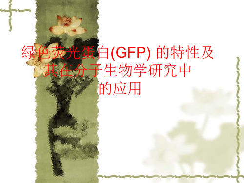 绿色荧光蛋白(GFP) 的特性及其在分子生物学研究中  的应用