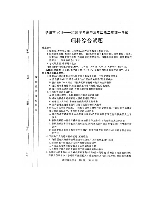 6.河南省洛阳市2020届高三年级第二次统一考试理综试卷含答案