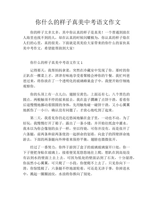 你什么的样子真美中考语文作文