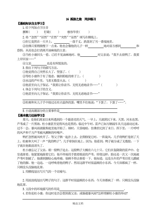 统编版九年级语文上册：16 孤独之旅 同步练习.doc