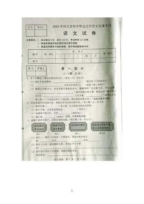 河北省2018年中考语文试题(图片版,含答案)