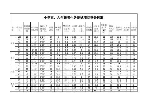 小学五六年级各项体育测试项目达标标准