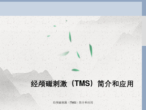 经颅磁刺激(TMS)简介与应用