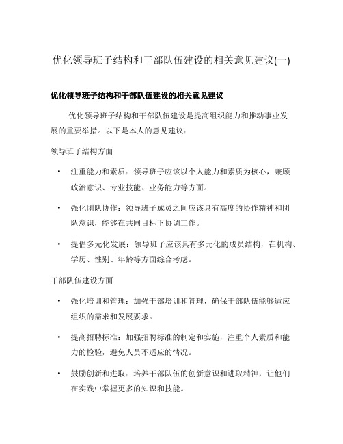 优化领导班子结构和干部队伍建设的相关意见建议(一)