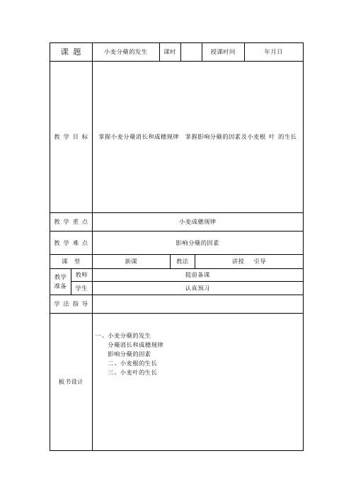 小麦分蘖的发生