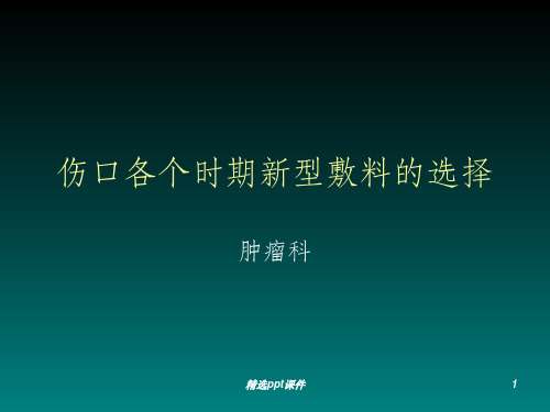 伤口各个时期新型ppt课件