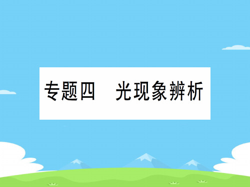 第四章 专题四 光现象辨析—2020年秋沪科版八年级上册物理课件