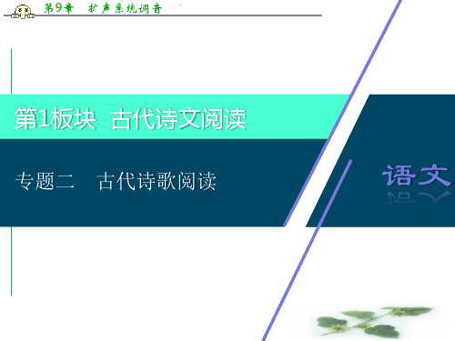 江苏省高考语文大二轮复习课件：专题二 古代诗歌阅读 1 专题二 古代诗歌阅读