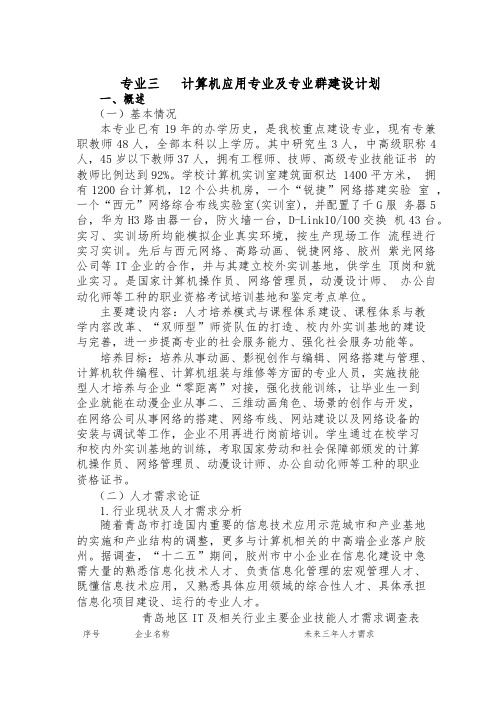 专业三---计算机应用专业及专业群建设计划