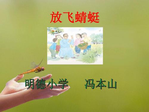 苏三语下《放飞蜻蜓》课件